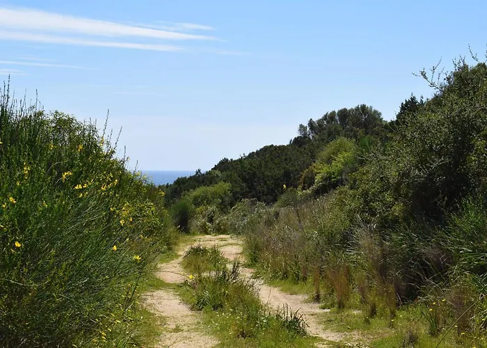 Azzurra Tra Le Coste Del Sud Villa