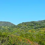 Azzurra Tra Le Coste Del Sud