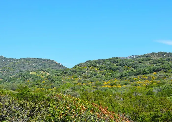 Azzurra Tra Le Coste Del Sud